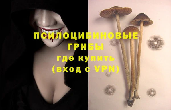 ALPHA-PVP Армянск