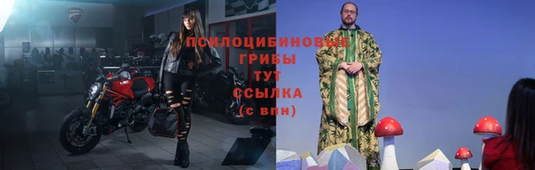 твердый Аркадак