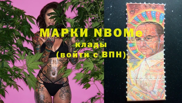 твердый Аркадак