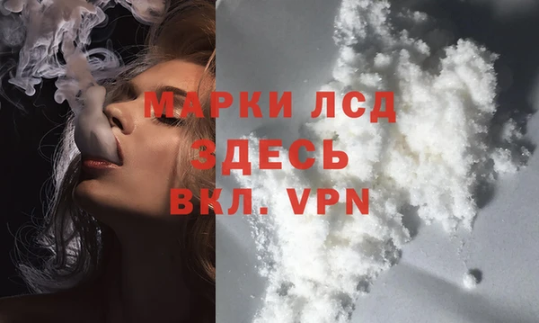твердый Аркадак